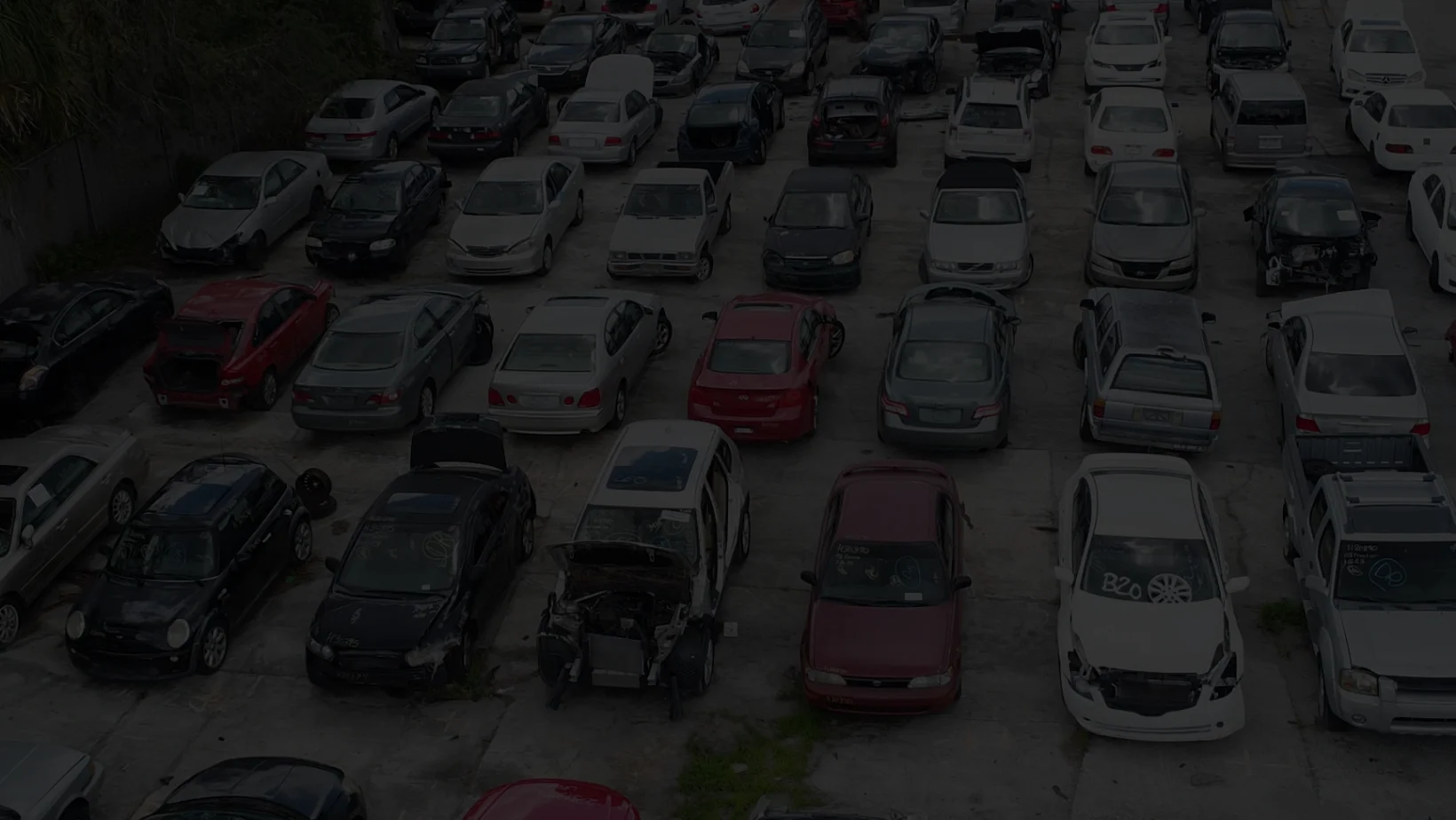 Master Your Style Effortlessly